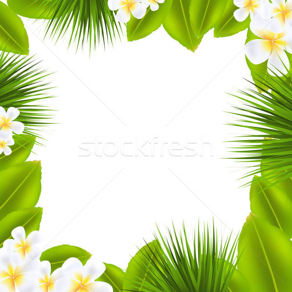 Frame With Frangipani And Leaf Stock photo © barbaliss