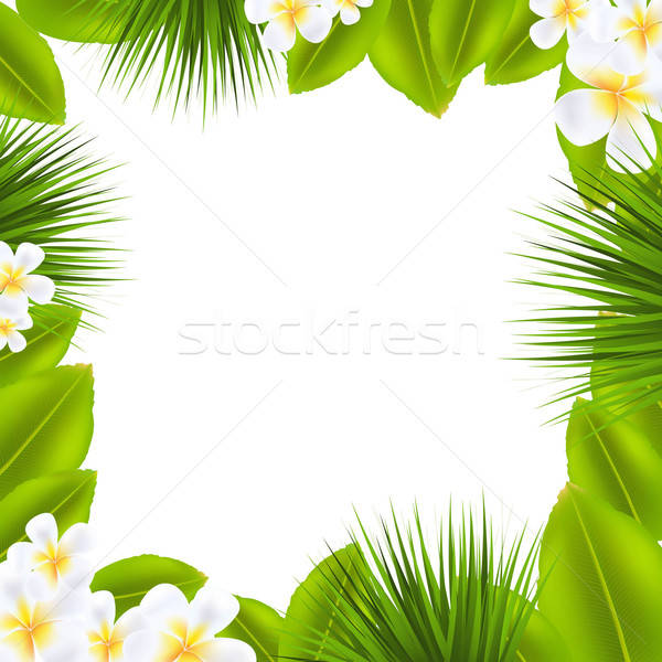 Stock photo: Frame With Frangipani And Leaf