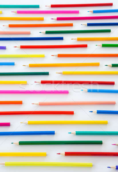Coloré crayons parallèle lignes blanche école [[stock_photo]] © BarbaraNeveu