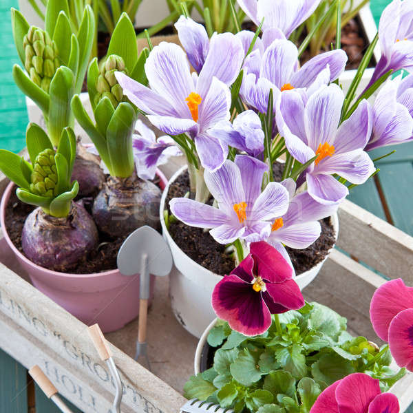 [[stock_photo]]: Fleurs · du · printemps · vintage · bois · boîte · Pâques