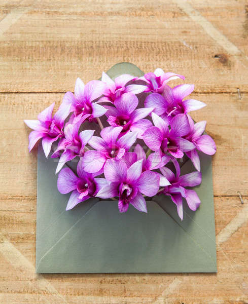 Stock photo: Colorful flowers in envelope