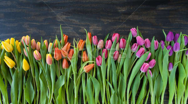 Stock fotó: Tulipánok · fényes · színek · friss · sötét · fából · készült