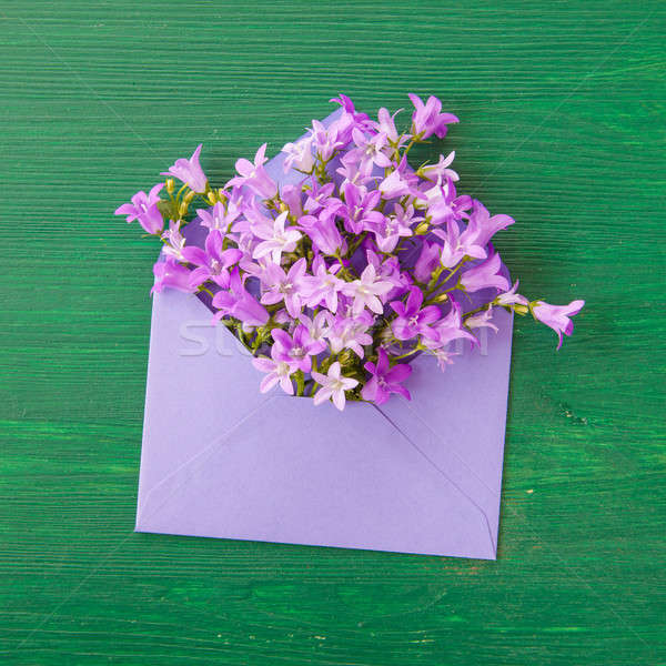Purple bellflowers with envelope Stock photo © BarbaraNeveu