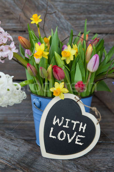 Színes tavaszi virágok klasszikus kék vödör virágok Stock fotó © BarbaraNeveu