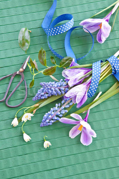 Fraîches fleurs du printemps vert rustique bois Pâques Photo stock © BarbaraNeveu