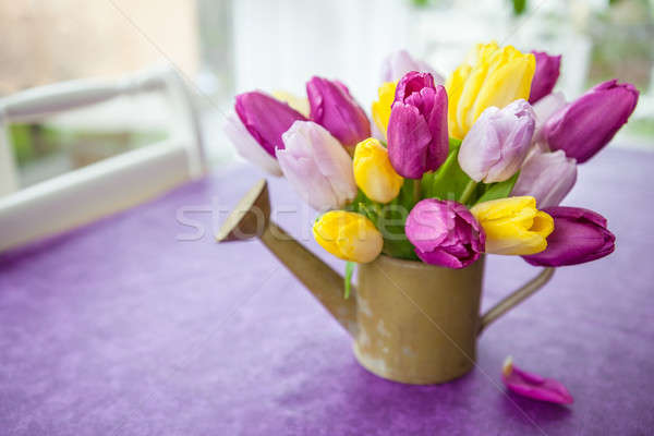 Frischen Tulpen lila Bouquet Ostern Geburtstag Stock foto © BarbaraNeveu