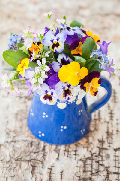 Little bouquet of spring flowers Stock photo © BarbaraNeveu