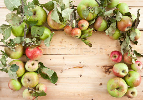 Organisch appels rustiek houten voedsel Stockfoto © BarbaraNeveu