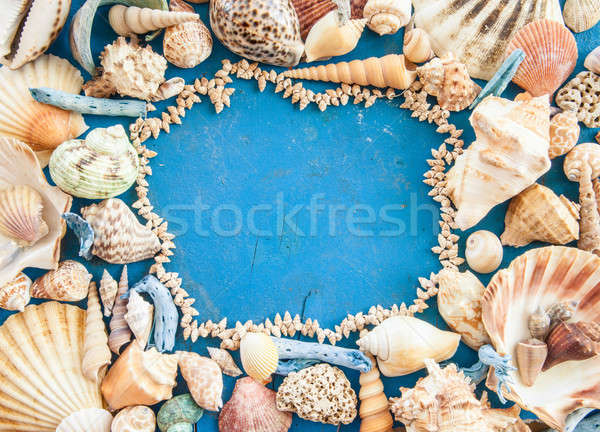 Stockfoto: Verweerde · houten · zee · schelpen · strand