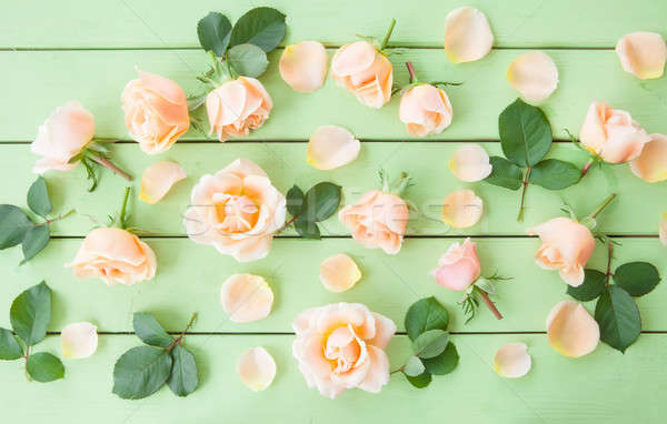 Frischen rosa Rosen rustikal Holz Blume Stock foto © BarbaraNeveu