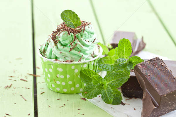 Congelato yogurt menta cioccolato fondente cioccolato estate Foto d'archivio © BarbaraNeveu