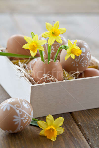 Yellow narcissus in egg shell Stock photo © BarbaraNeveu