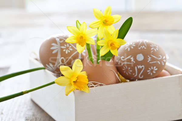 Yellow narcissus in egg shell Stock photo © BarbaraNeveu