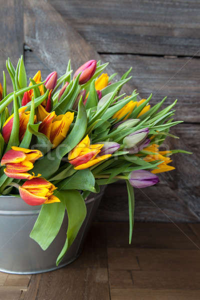 Coloré tulipes vintage seau bois Pâques [[stock_photo]] © BarbaraNeveu