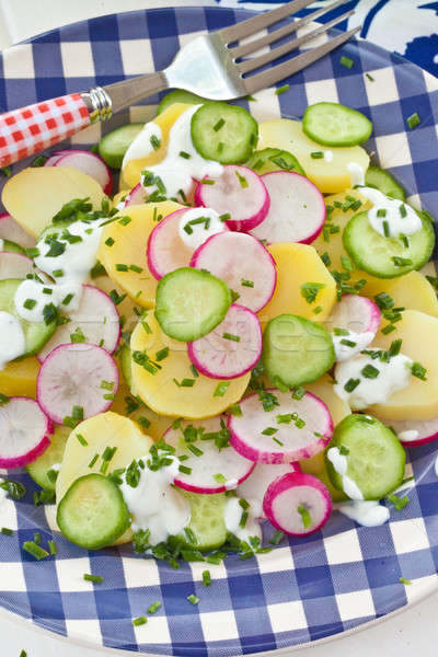 Foto d'archivio: Insalata · di · patate · fresche · cetriolo · cetrioli · blu