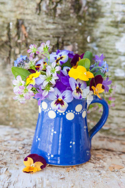 Little bouquet of spring flowers Stock photo © BarbaraNeveu