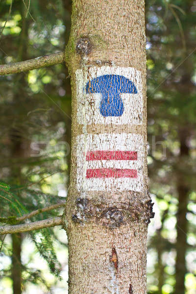 Tree trunk with hiking signs Stock photo © BarbaraNeveu