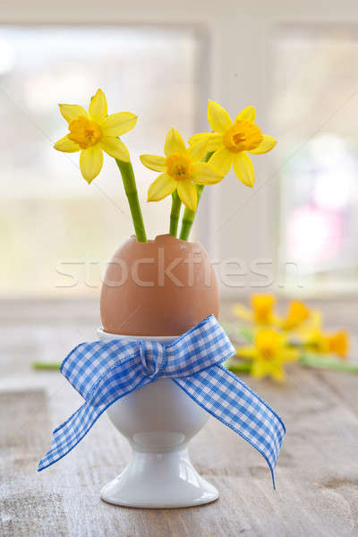 Yellow narcissus in egg shell Stock photo © BarbaraNeveu