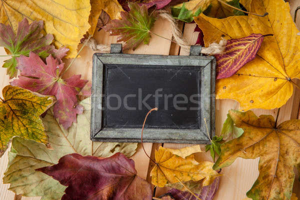 Chalkboard with fallen leaves Stock photo © BarbaraNeveu