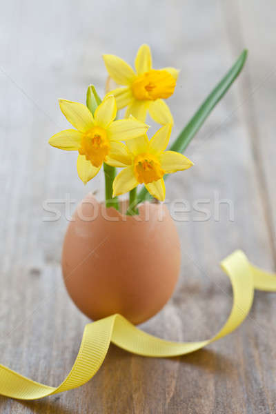 Yellow narcissus in egg shell Stock photo © BarbaraNeveu