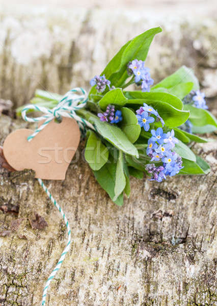 Little bouquet of forget-me-nots Stock photo © BarbaraNeveu