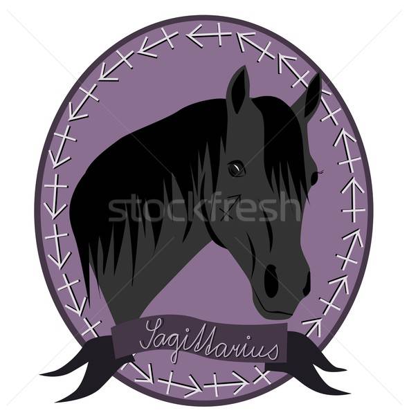 Cavallo zodiaco illustrazione testa segni Foto d'archivio © BarbaRie