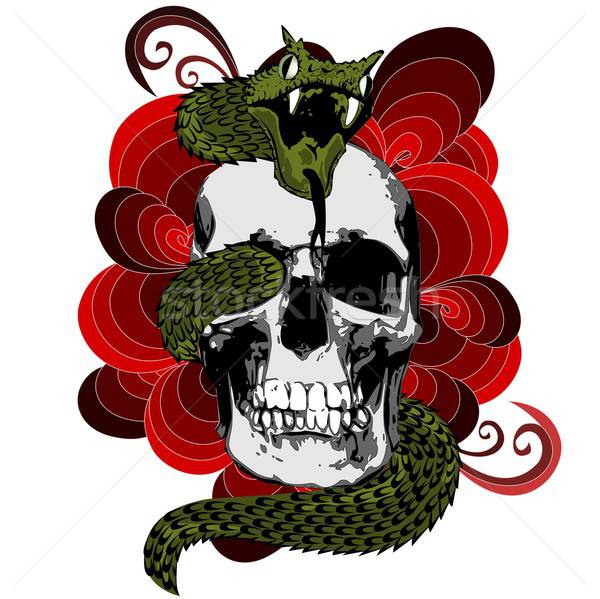 череп змеи иллюстрация аннотация улыбка дизайна Сток-фото © BarbaRie