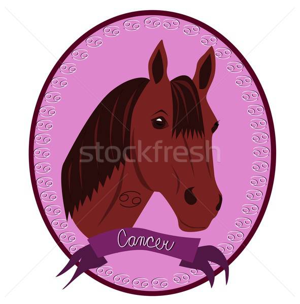 Cavallo zodiaco cancro illustrazione testa segni Foto d'archivio © BarbaRie
