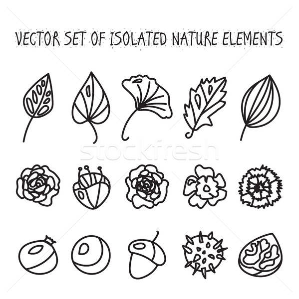 Vintage flowers, fruits and leaves icons collection Stock photo © barsrsind