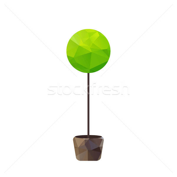 Vector triangle tree in pot Stock photo © barsrsind