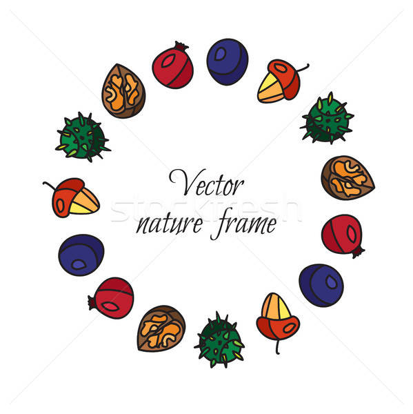 Vintage nuts, berry, fruits frame Stock photo © barsrsind