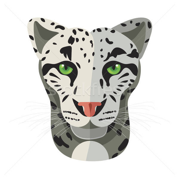 Foto stock: Gato · leopardo · neve · barras · cara
