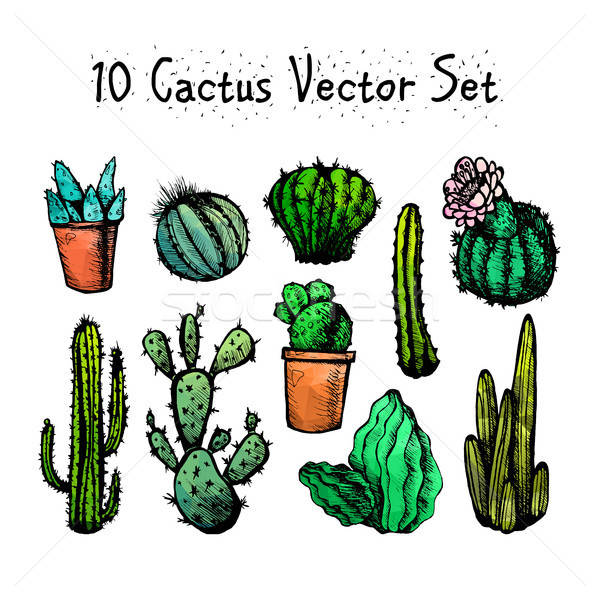 Hand Drawn Isolated Cactuses Set Stock photo © barsrsind