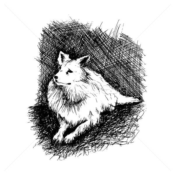dog in anddrawn engraving style by pen, retro hound Stock photo © barsrsind