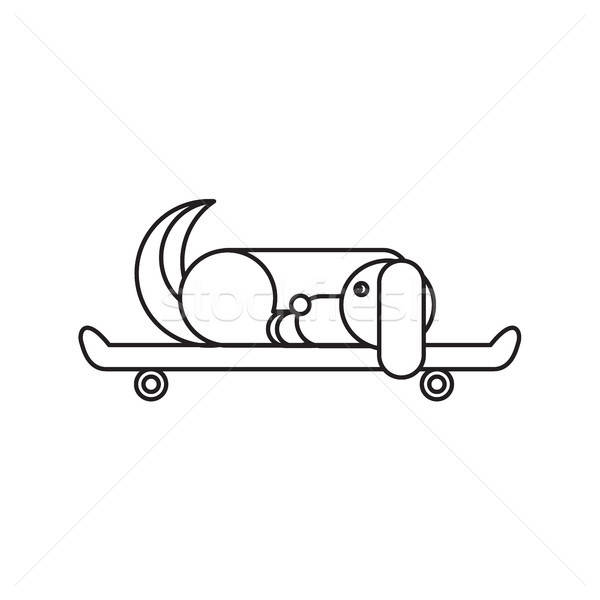 Hund Sitzung Skateboard Tierarzt Symbol Lieferung Stock foto © barsrsind