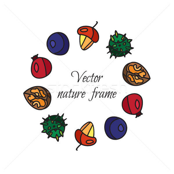 Stock photo: Vintage nuts, berry, fruits frame