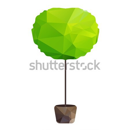 Vektor Dreieck Baum Topf Natur Symbol Stock foto © barsrsind