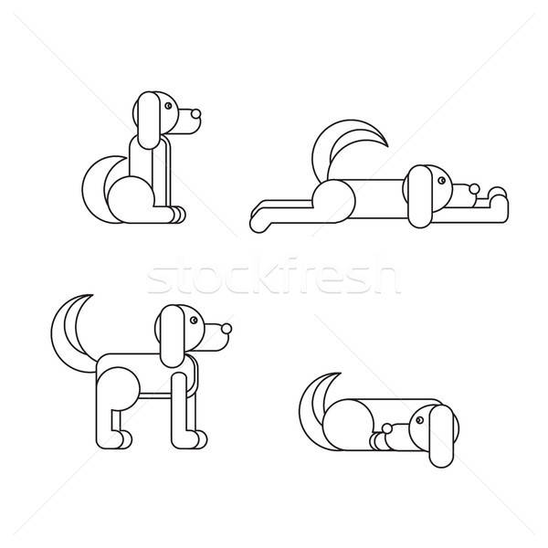 Hund Positionen Sitzung stehen schlafen Tierarzt Stock foto © barsrsind