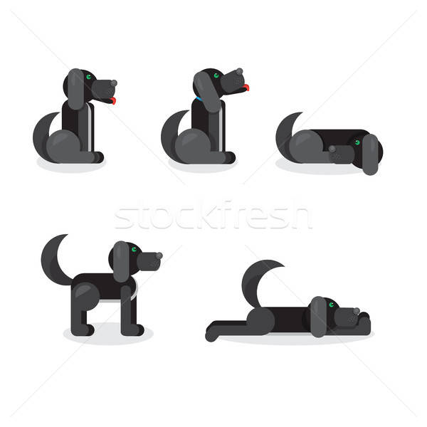 Posiedzenia czarny psa inny pozycje weterynarz Zdjęcia stock © barsrsind