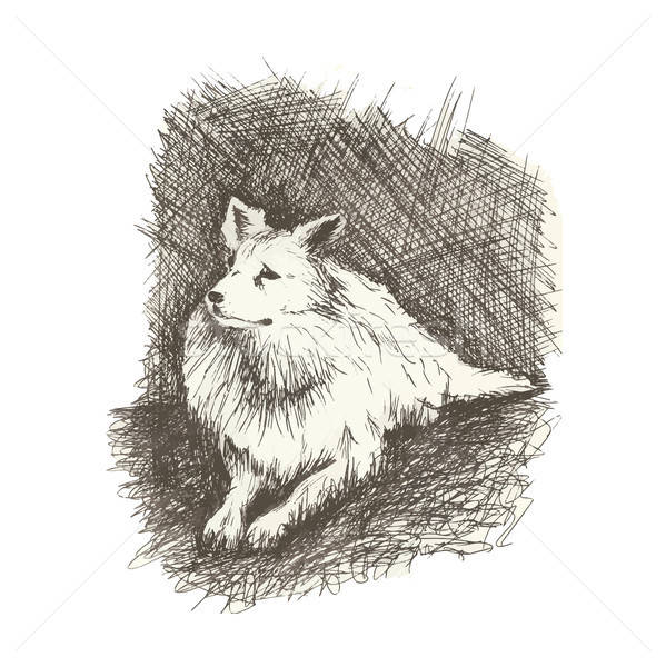 dog in anddrawn engraving style by pen, retro hound Stock photo © barsrsind