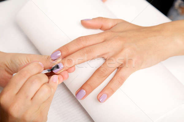 Manicure - Beautiful manicured woman's nails with violet nail po Stock photo © bartekwardziak