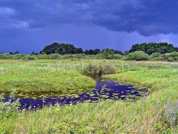 Rivier veld onweersbui strand voorjaar bos Stockfoto © basel101658