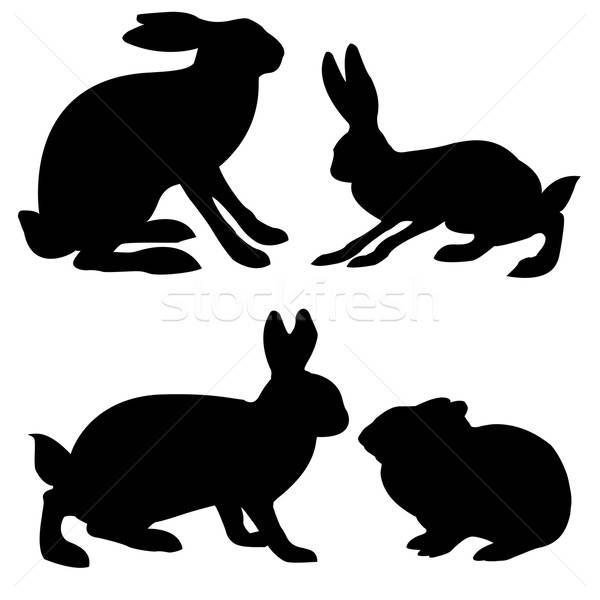 вектора · рисунок · заяц · кролик · белый - Векторная графика © basel101658  (#704554) | Stockfresh