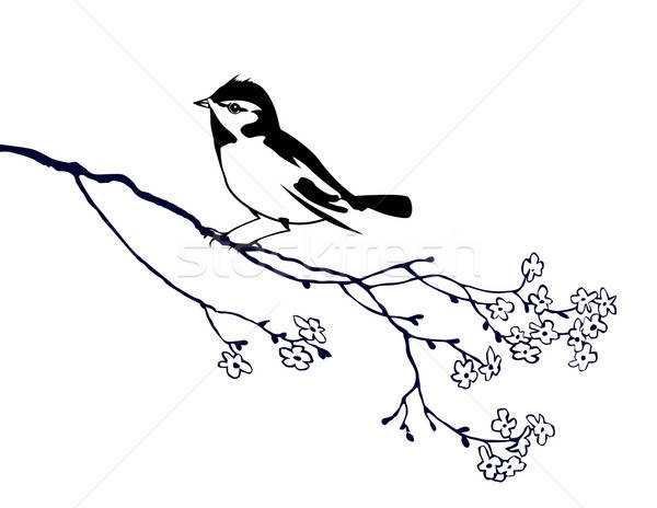 vector silhouette of the bird on branch tree Stock photo © basel101658