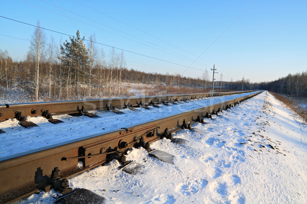 railway in winter Stock photo © basel101658