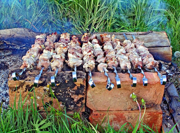 preparation of meat on campfires       Stock photo © basel101658