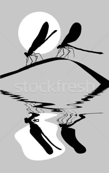 vector drawing Stock photo © basel101658