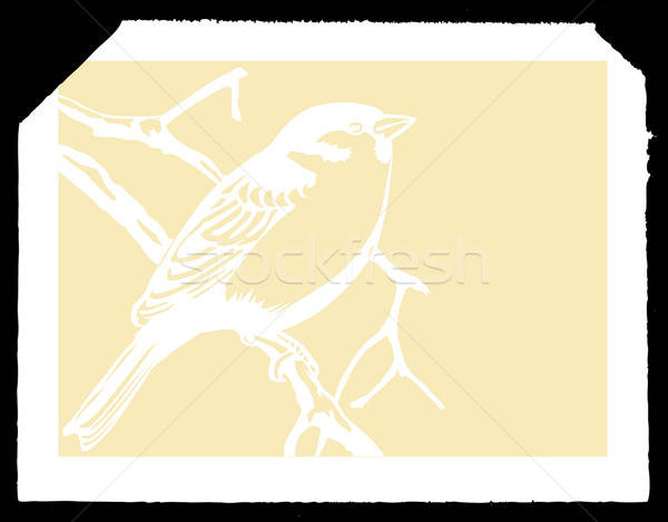 vector drawing Stock photo © basel101658