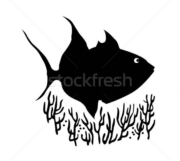 vector silhouette of sea fish on white background Stock photo © basel101658