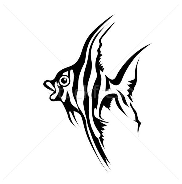 vector silhouette of sea fish on white background Stock photo © basel101658